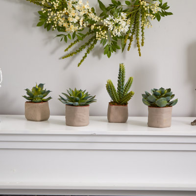 6'' Faux Succulent Plant in Ceramic Planter