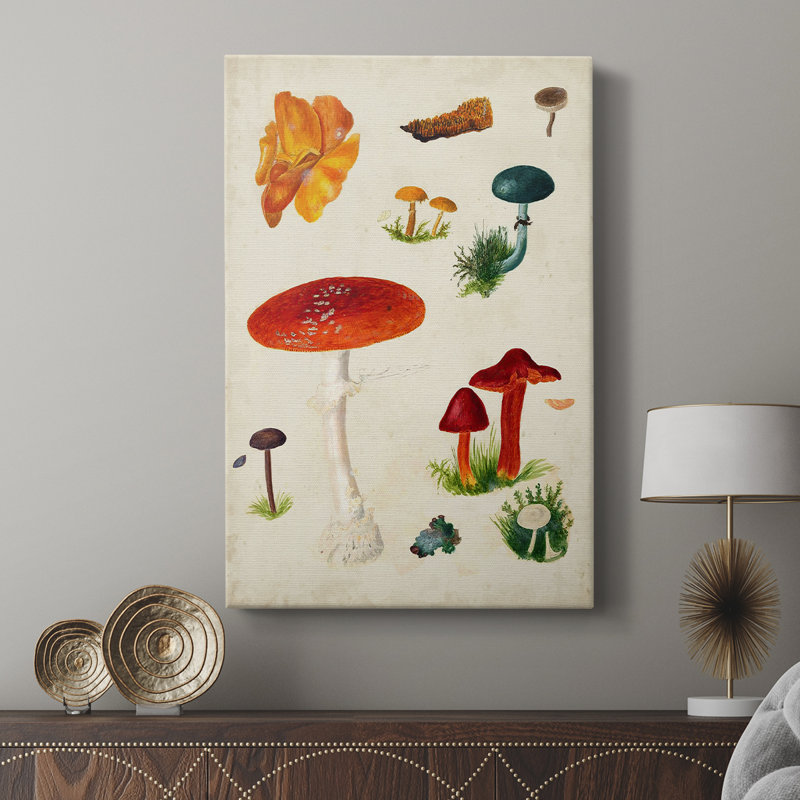 Mushroom Species VI - Gallery Cavas, H 27 po x l 18 po