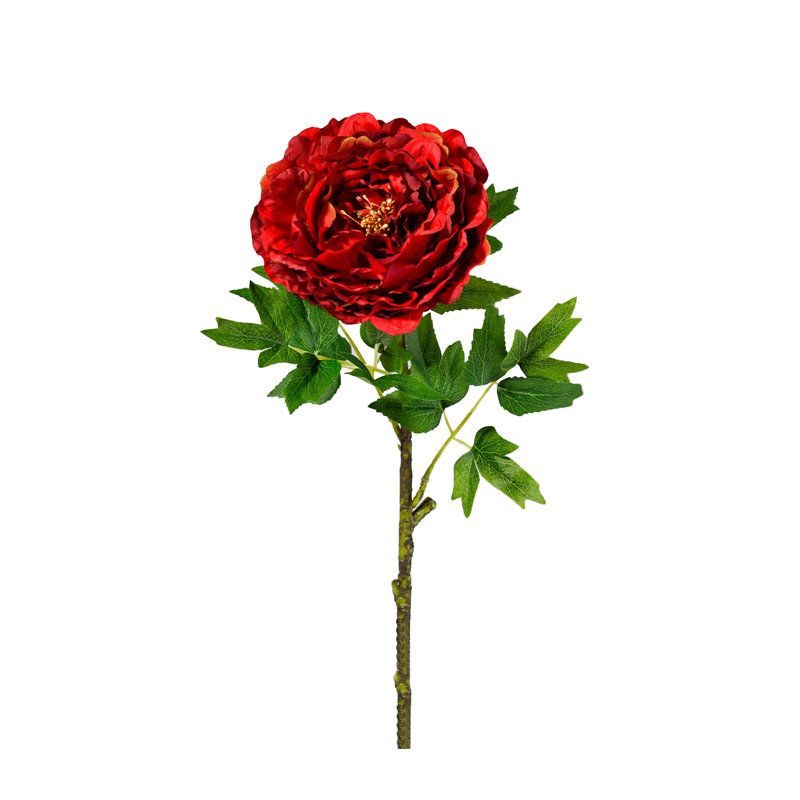 Tige de pivoine Primrue, paquet de 12, Rouge
