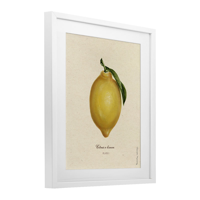 «Lemon Fruit Portrait», reproduction encadrée sous verre, conception de Danielle Murray, H 16 po x l 13 po