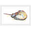 Rachel Byler - Single Picture Frame Painting-855964455