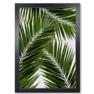 Palm Leaf III - Print