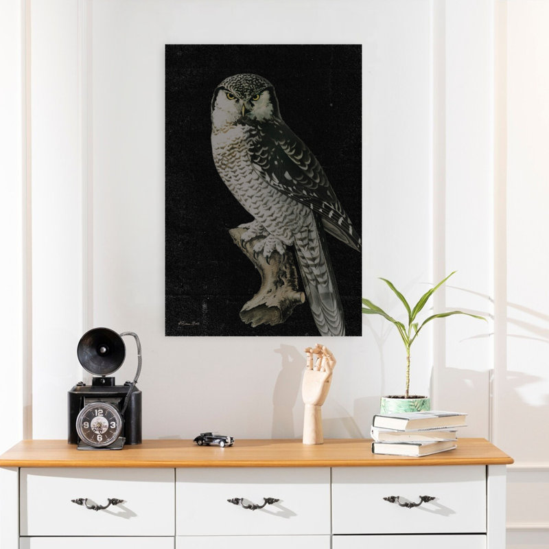 Moody Owl, H 24 po x l 16 po