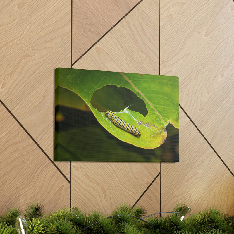 No Frame Print on Canvas
