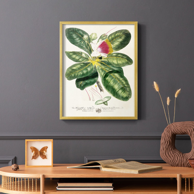 «Imperial Tropical Botanical I», reproduction encadrée - bois massif, H 10 po x l 8 po