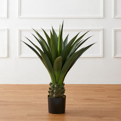 Fausse plante d'agave en pot Amee H 39,25 po