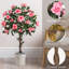 Rubens 91.4cm Tree in Pot