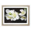 White Jasmine Flowers Painting - Framed Print-56628340-56628343