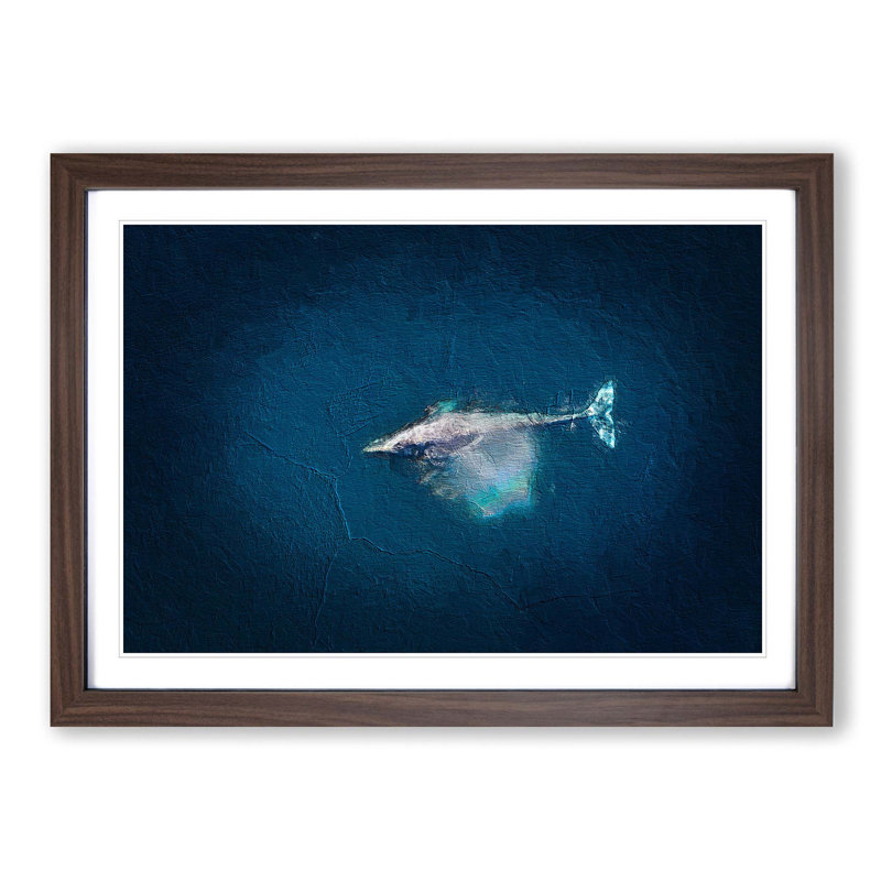 Swimming Dolphin - Picture Frame Painting Print, Walnut Framed, 36cm H x 48cm W x 2cm D