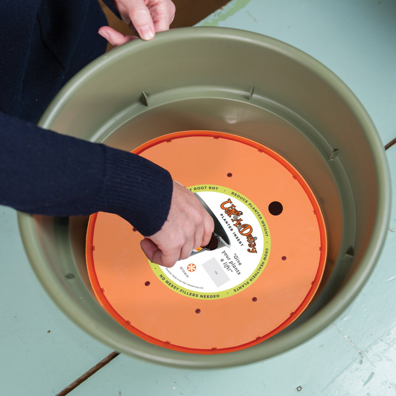 Ups-A-Daisy Round Indoor/Outdoor Planter Insert, 1" H x 18" W x 18" D, Orange