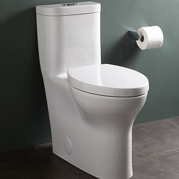 Equility Dual-Flush Elongated One-Piece Toilet (Seat Included)