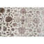 Intricately Area Rug-61974939