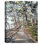 River Path - impression sur toile tendue