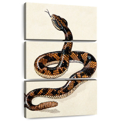Brampt Rattlesnake