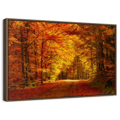 Forest Autumn Trees