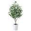 Ficus artificiel George, verdure artificielle protégée contre les rayons UV avec une énorme base décorative pour l'intérieur et l'extérieur-2074737957-2074737956