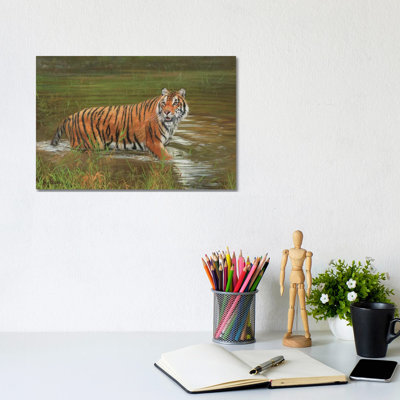 Amur Tiger Cooling Off by David Stribbling - Wrapped Canvas Gallery-Wrapped Canvas Giclée