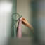Spinder X BUDDE Steel Wall 1 - Hook Coat Rack-49378035