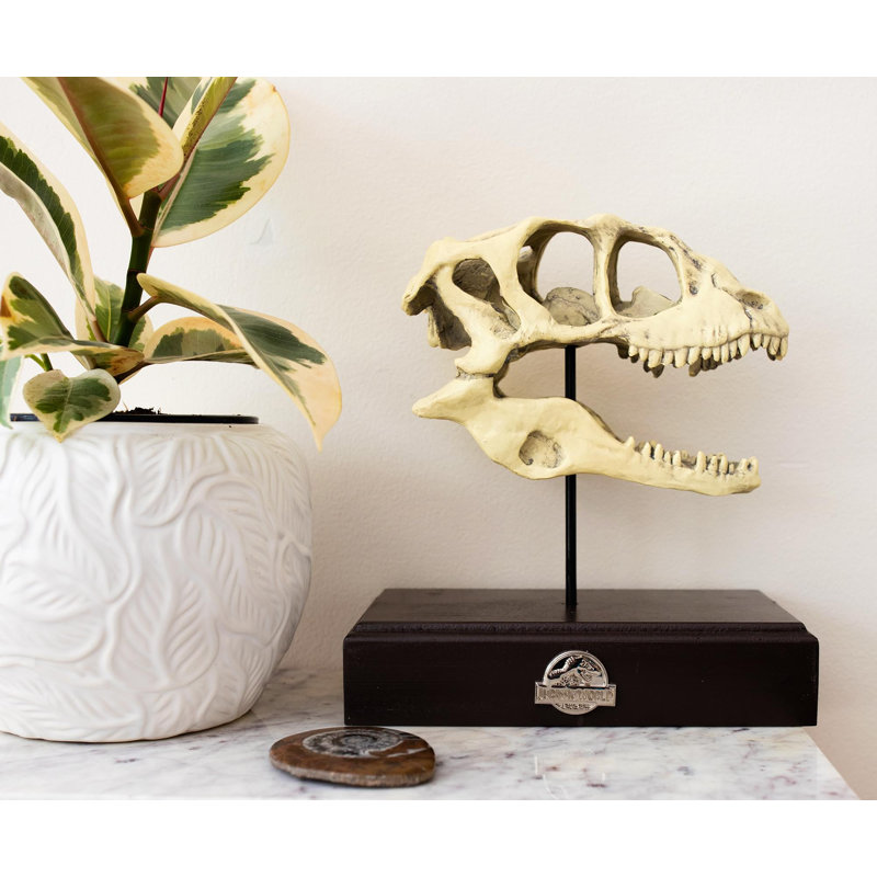 Decorative Object