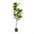 ARTIFICIAL FIDDLE LEAF FIG TREE