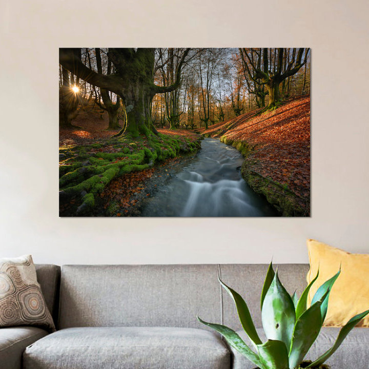 « magique forest », reproduction de photo sur toile, H 12 po x l 18 po x P 1,5 po, Pas de tapis, Toile tendue