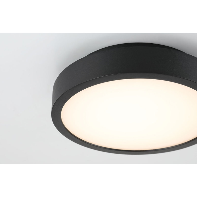 Patrol Ceiling Mount, 15W, Black Finish