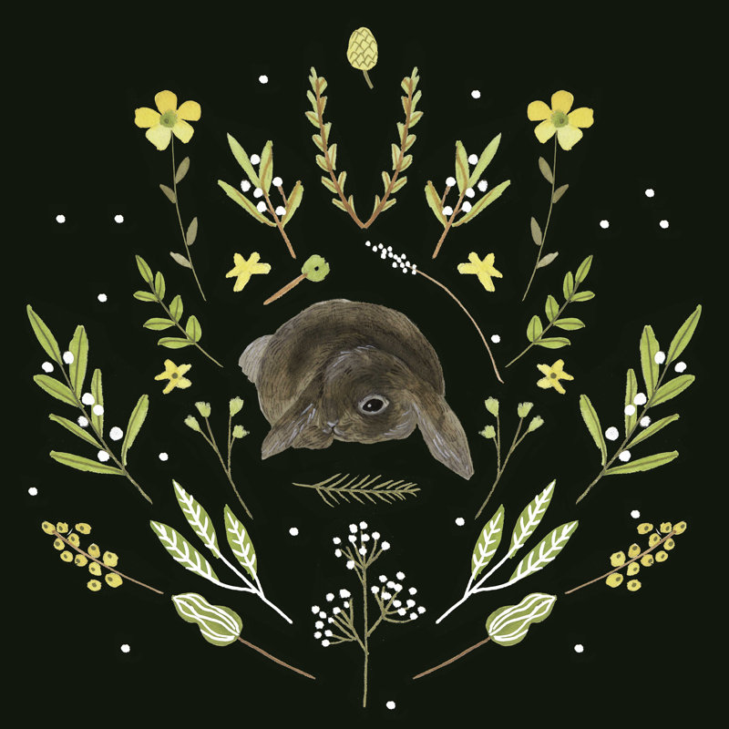 «Bunny Field IV» par Melissa Wang - reproduction d'art sur toile tendue, H 20 po x l 20 po x P 1,25 po
