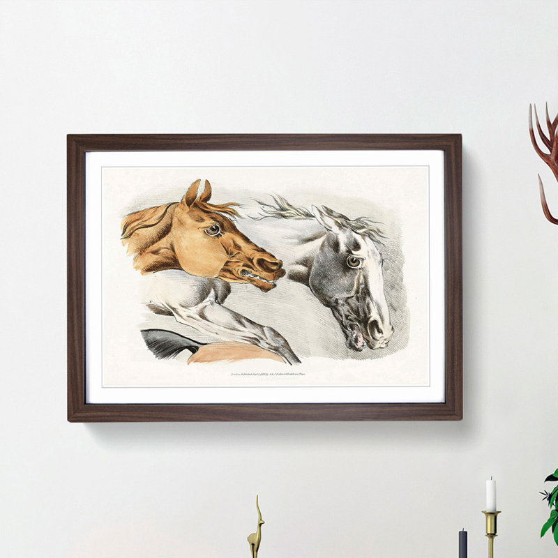 Horse Illustrations by Henry Alken - Picture Frame Painting Print, Walnut Framed, 48cm H x 65cm W x 2cm D
