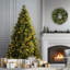 Carolina Flocked/Frosted Christmas Tree-1687330704