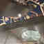 Photos des clients 1 de 3