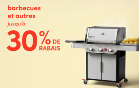 barbecues et autres en solde