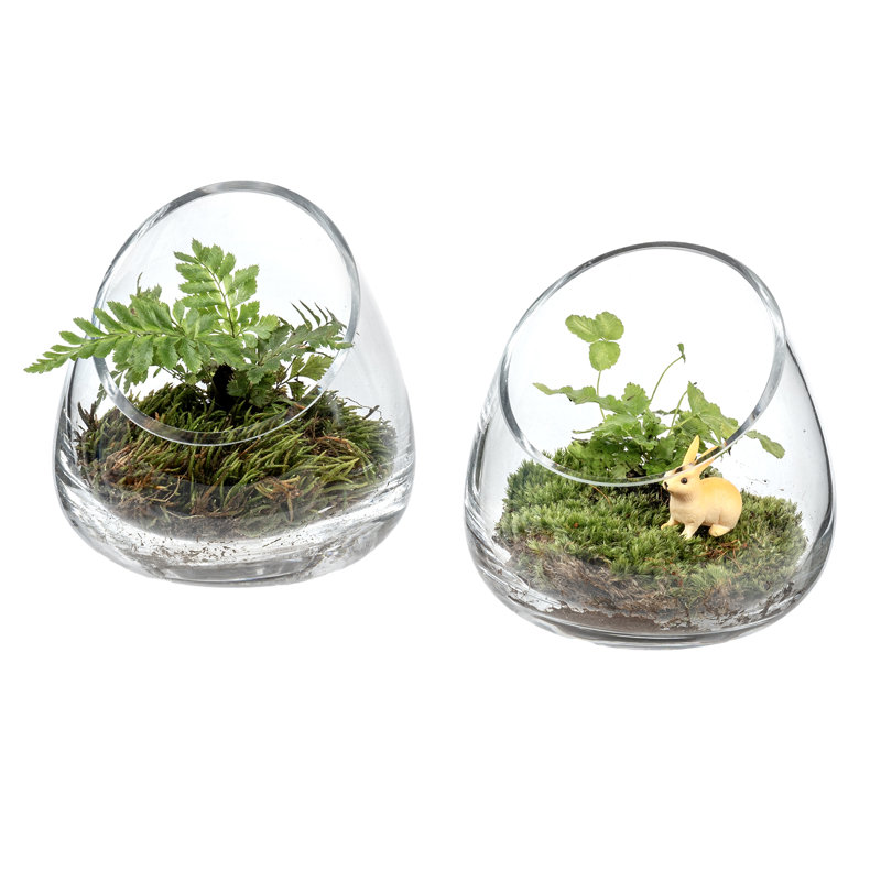 Mini terrarium en verre Jaymin