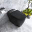 1.28GPF Siphon Jet Flushing Smart Toilet With Heated Bidet Seat