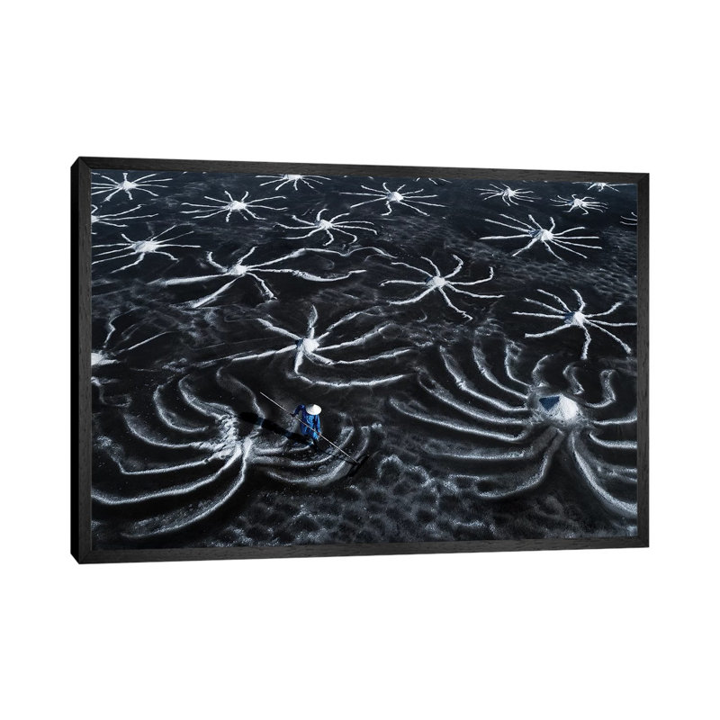 Salt Field by Trung Pham - Gallery-Wrapped Canvas Giclée on Canvas, 66.04 cm H x 45.72 cm W, Black Framed