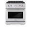 ZLINE 30" Paramount Dual Fuel Stainless Steel Range w/ 4 Brass Burners & Convection Oven (SDR-BR-30)