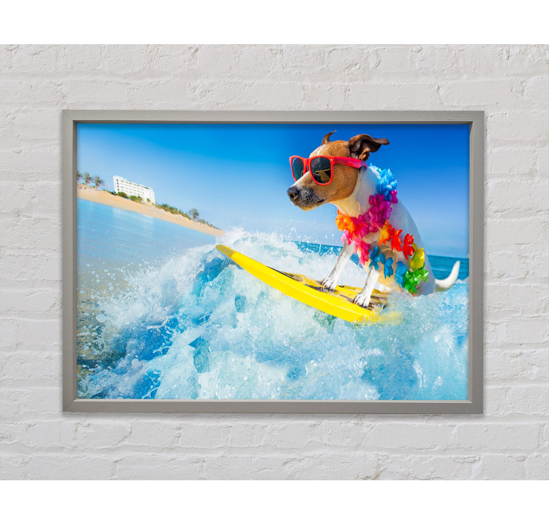 Hund mit Sonnenbrille beim Surfen - Einzelbildrahmen Kunstdrucke auf Leinwand