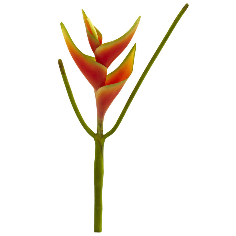 Petite tige heliconia