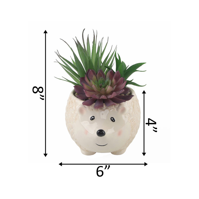 Agave de fleurs en céramique en céramique-hedgehog