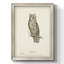 «Scops - Eared Owl Scops» - reproduction de cadre photo sur toile-1759236907