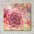" Succulents 02 " by Lightbox Journal-970898399