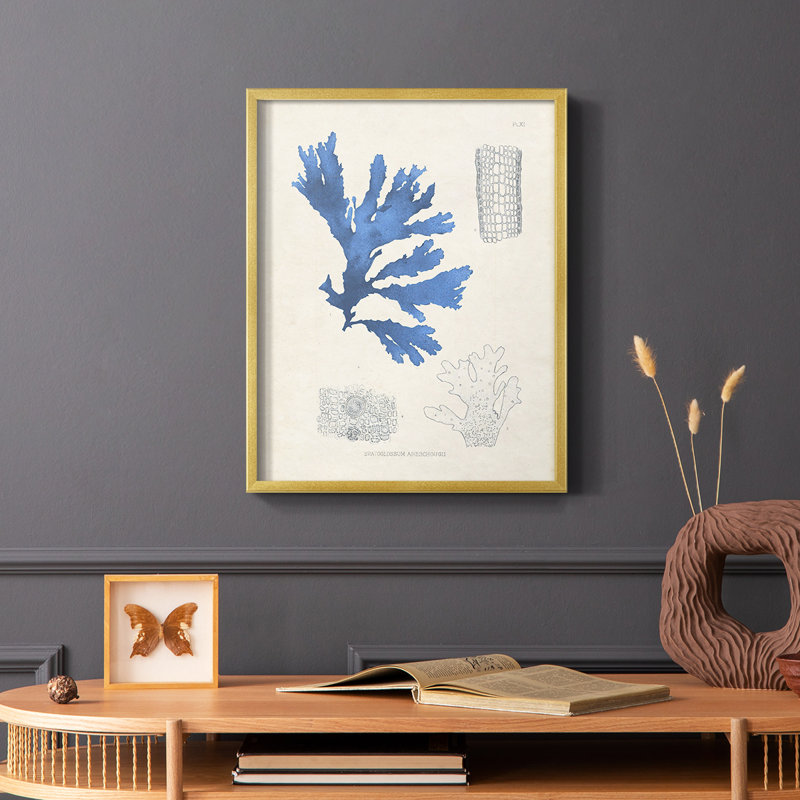 «Blue Marine Algae», reproduction encadrée en bois massif, Or, H 28 po x l 22 po
