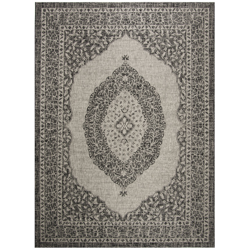 Amedee Performance Oriental Indoor/Outdoor Area Rug, Rectangle 2' x 3'7"