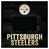 Pittsburgh Penguins 2
