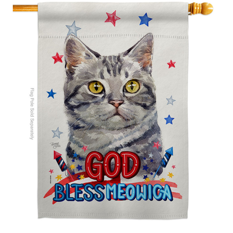 Drapeau de maison 40 po x 28 po Patriotic American Cat