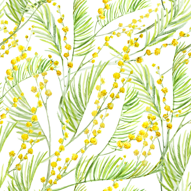 Rouleau de papier peint adhésif Poolesville Mimosa, L 16,67 po x l 25 po