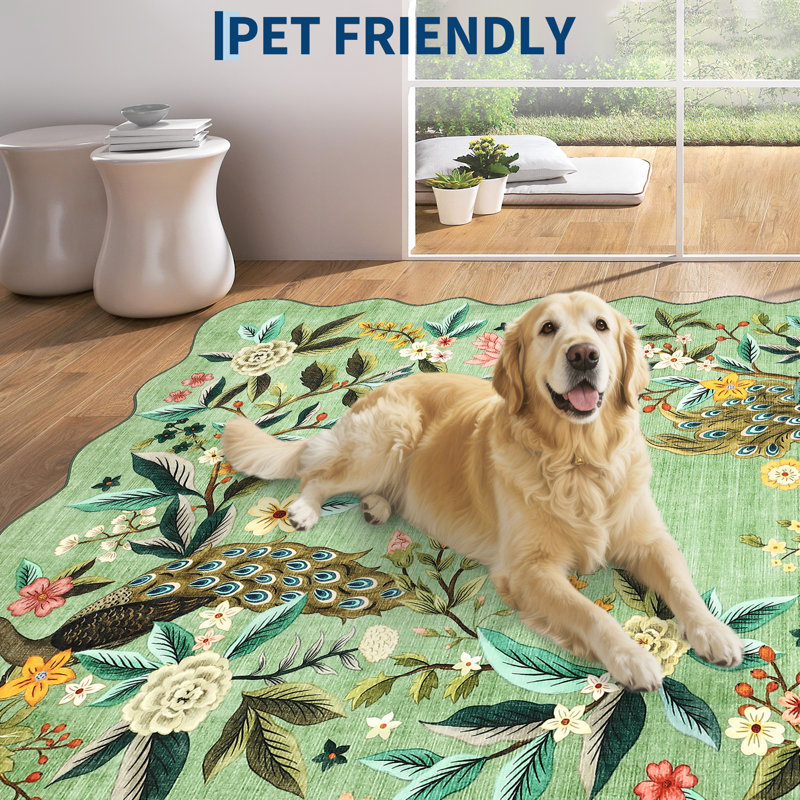 Tapis festonné vert 4 x 6 pour le salon Tapis floral lavable paon pour chambre à coucher Tapis de ferme antidérapant pour chambre d'enfant Tapis de décoration botanique ultra résistant aux taches