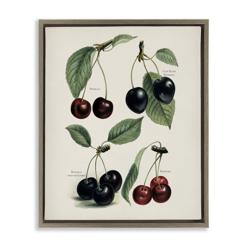 Cadre flottant en cerisier naturel détaillé, H 31 po x l 25 po, Cadre flottant orme Montalcino
