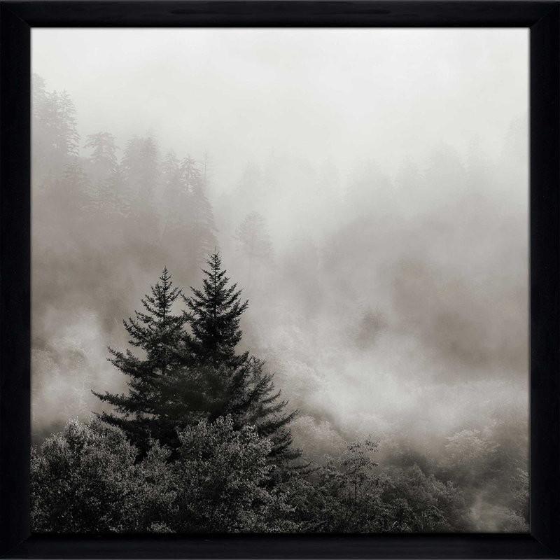 «Rising Mist, Smoky Mountains» par Nicholas Bell - photographie, H 25,5 po x l 25,5 po x P 1 po, Cadre noir