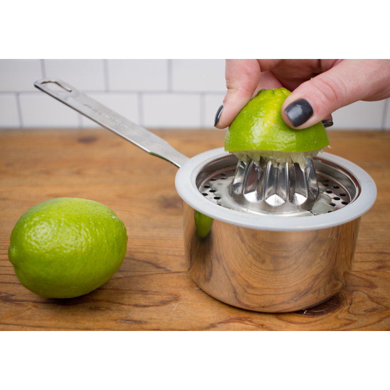 Stainless Steel Citrus Juicer with Silicone Rim, 8-inch