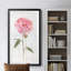 Pivoine I - Cadre photo, reproduction d'art sur papier-197839881-197839884
